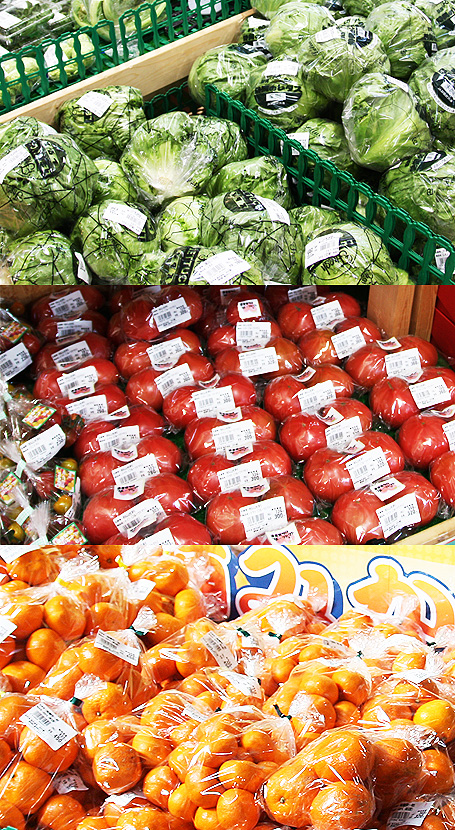 伊豆・村の駅　野菜・果物の直売所